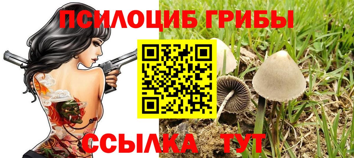 Зеленокумск  Галлюциногенные грибы GOLDEN TEACHER  Вход с VPN 