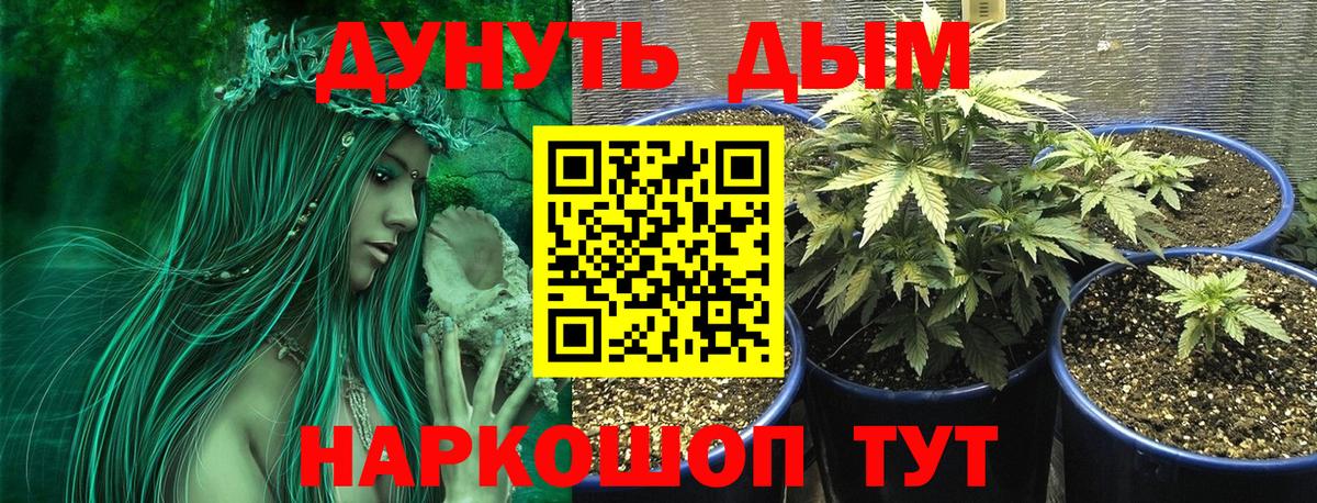 Конопля конопля  Бошки марихуана LSD WEED  Зеленокумск  Бошки Шишки AK-47  Вход с VPN  Шишки марихуана SATIVA & INDICA 